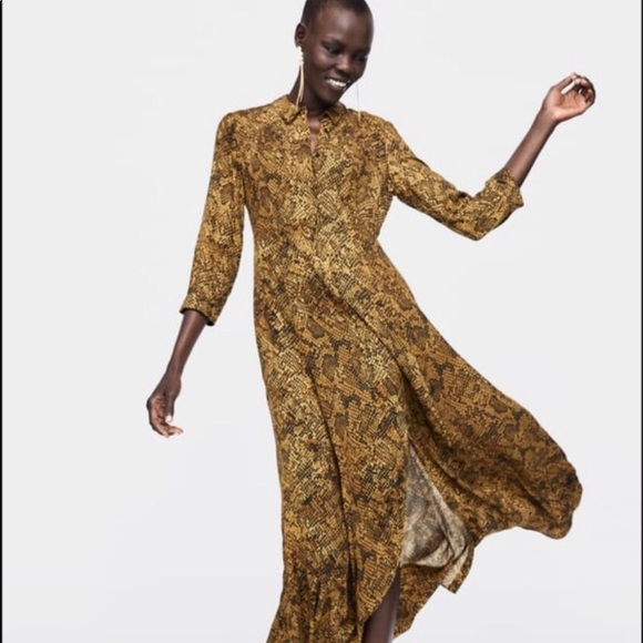 zara animal print maxi dress